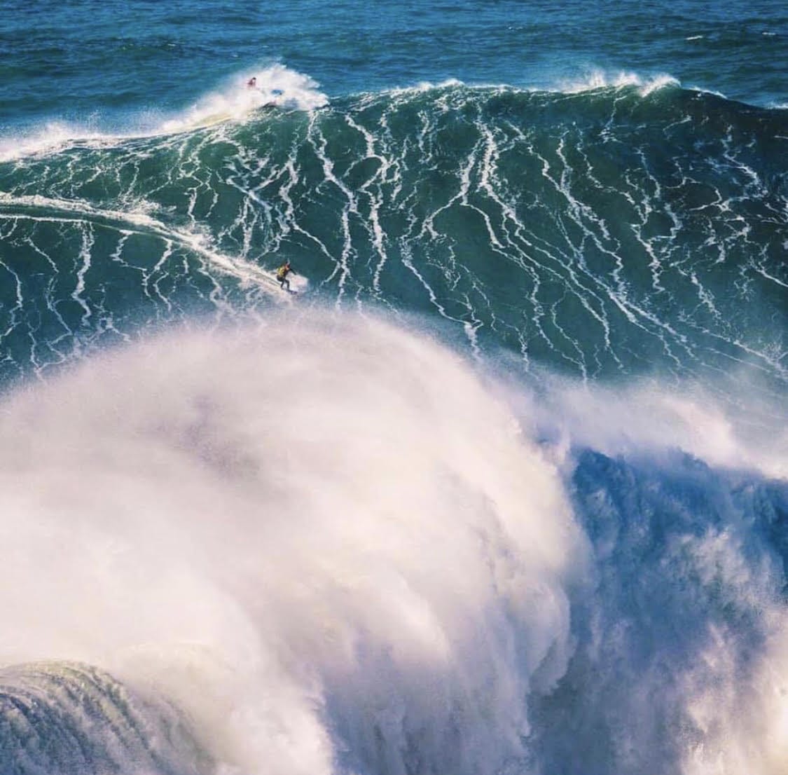 Conversa com... TOBY CUNNINGHAM